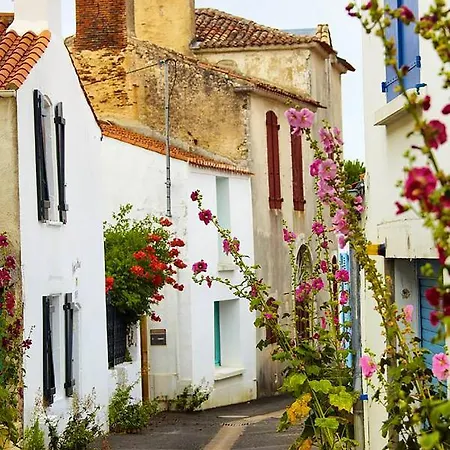 Proche De La Marina A Gilles Croix De Vie